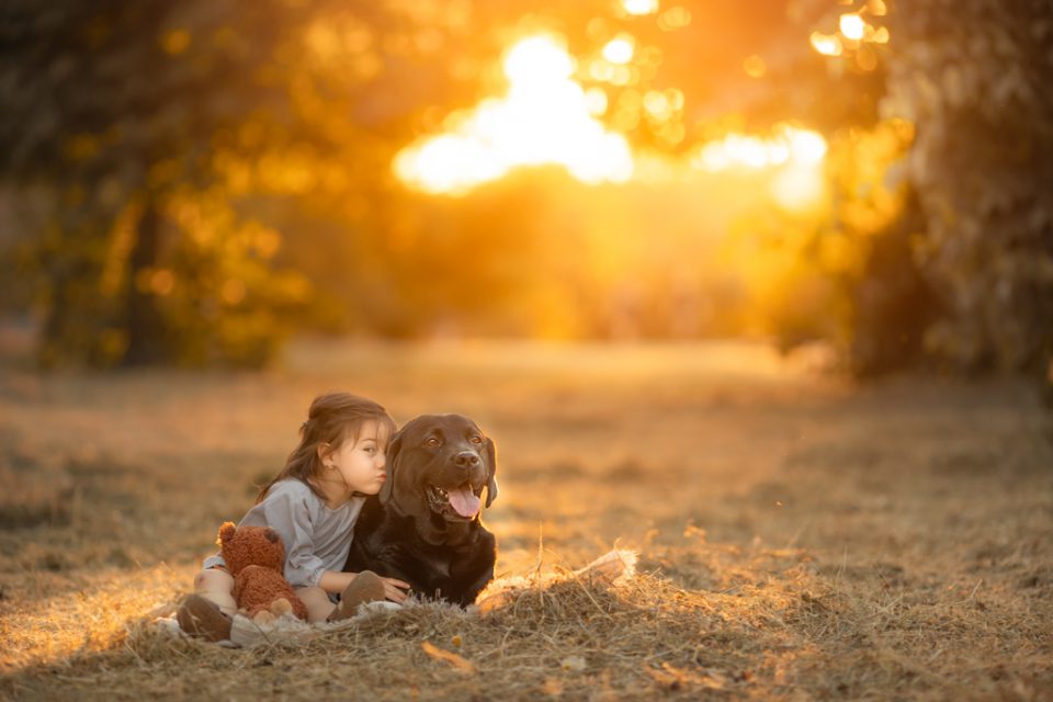 sesiones-fotograficas-infantiles-en-madrid-Beata-Praska