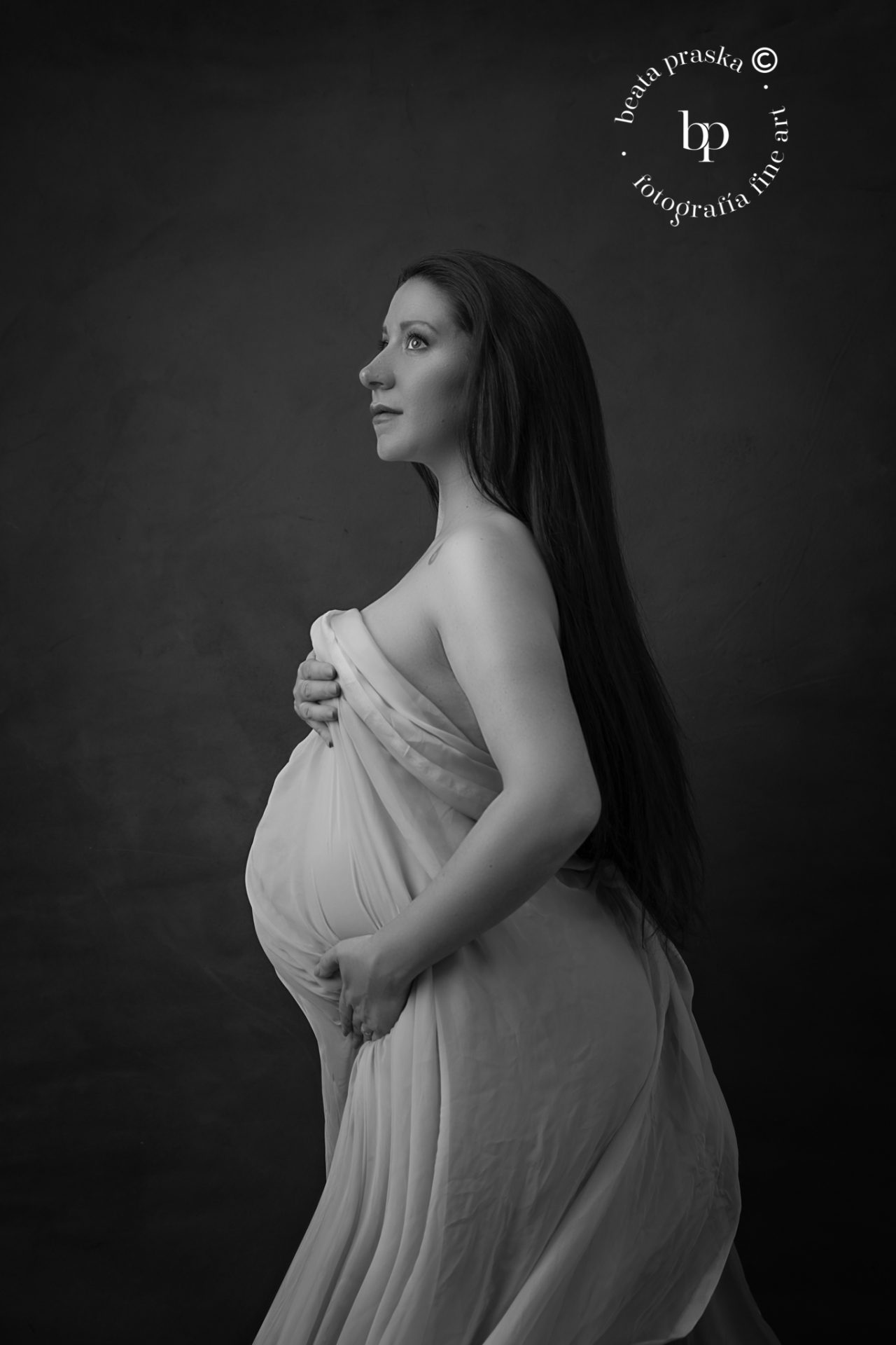 fotos de embarazadas creativas