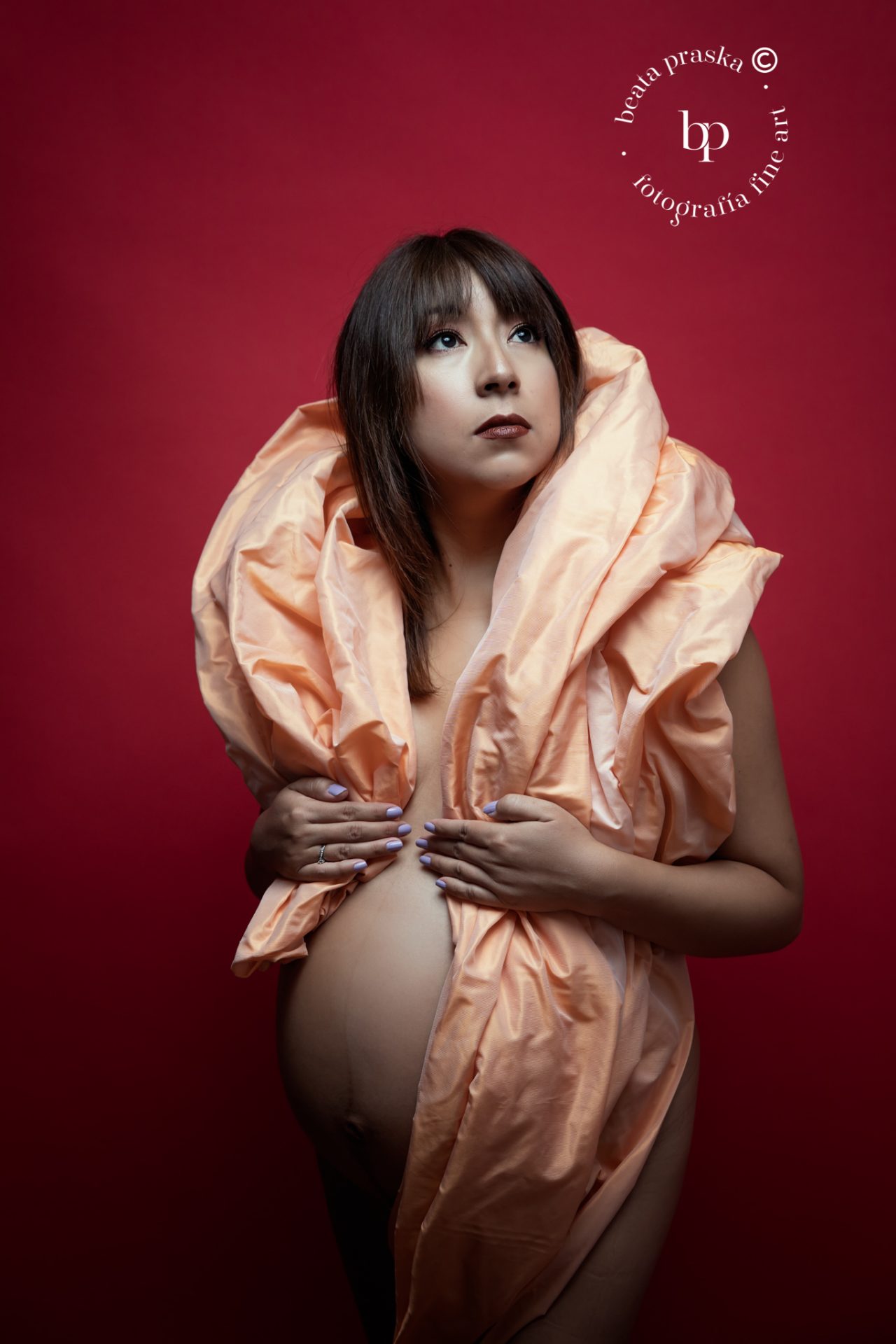 fotografia de embarazo elegante